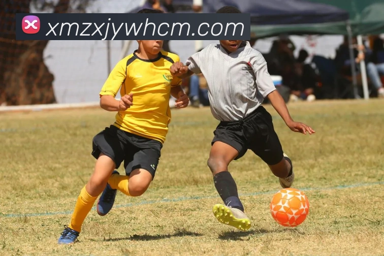 星空体育首页登录入口品牌故事