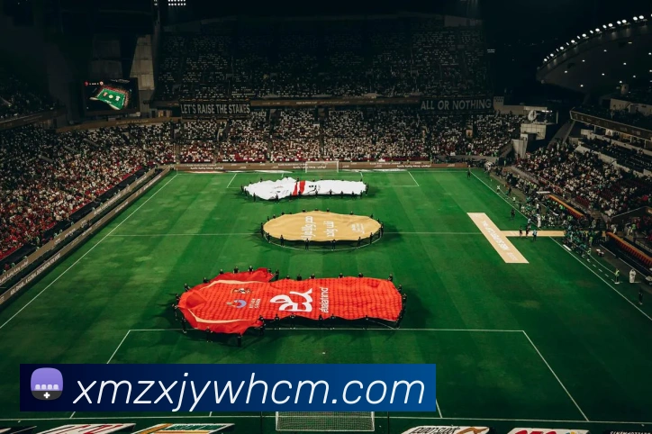 星空体育首页登录入口APP 体育赛事宣传图